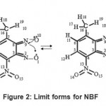 Figure 2: Limit forms for NBF