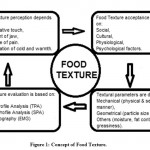 Figure 1: Concept of Food Texture.