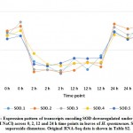 Figure 6: Expression pattern of transcripts encoding SOD downregulated under salt stress (1 M NaCl) across 0, 2, 12 and 24 h time points in leaves of H. spontaneum