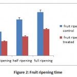 Figure 2: Fruit ripening time