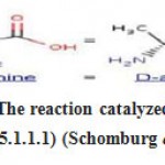 Figure 1; The reaction catalyzed by alanine racemase (5.1.1.1) (Schomburg et al., 2004).