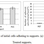 Figure 2.Number of initial cells adhering to supports. (a) Untreated supports; (b) Treated supports.