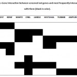 Table 3: Gene-Gene interaction between screened out genes and most frequently interacting genes with them (black in color).