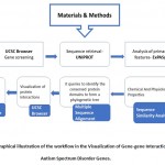 Figure 1: Graphical illustration of the workflow in the Visualization of Gene-gene Interactions in Autism Spectrum Disorder Genes.