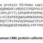Figure 3: Sequence of Human CRKL protein collected from Uniprot Database.