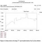 Figure 2: Peaks observed using UV spectrophotometer for Cu-Zn solution.
