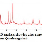 Figure 4: XRD analysis showing zinc nanoparticle peaks of Cissus Quadrangularis.