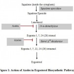 Figure 1: Action of Azoles in Ergosterol Biosynthetic Pathway