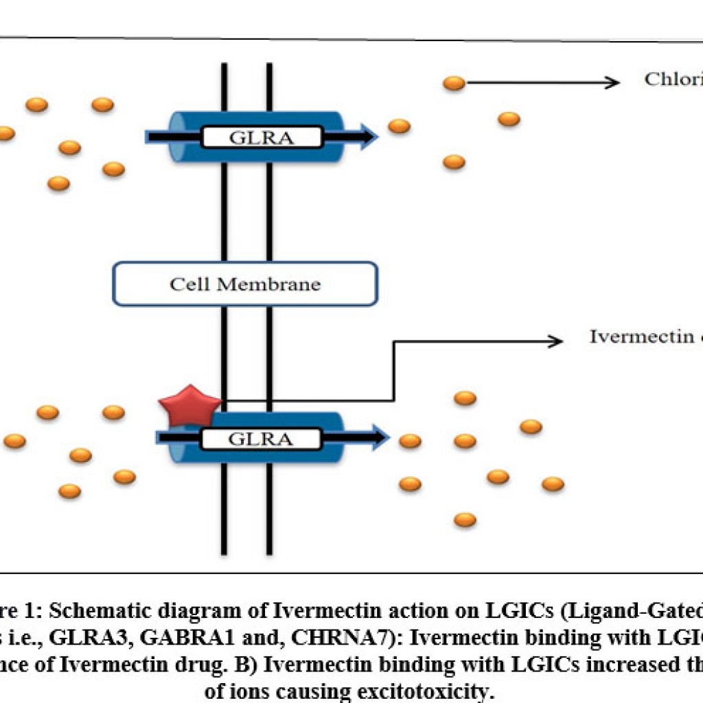 In Silico Analysis of Off-Target Effects of Ivermectin Drug ...