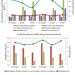Bioethanol Production from Rice Straw and Cellulose Degradation using ...