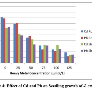Effect of Cadmium and Lead Stress on Seed Germination and Seedling ...