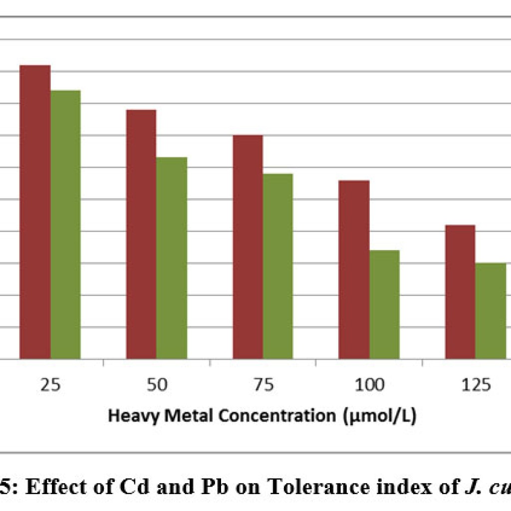 Effect of Cadmium and Lead Stress on Seed Germination and Seedling ...