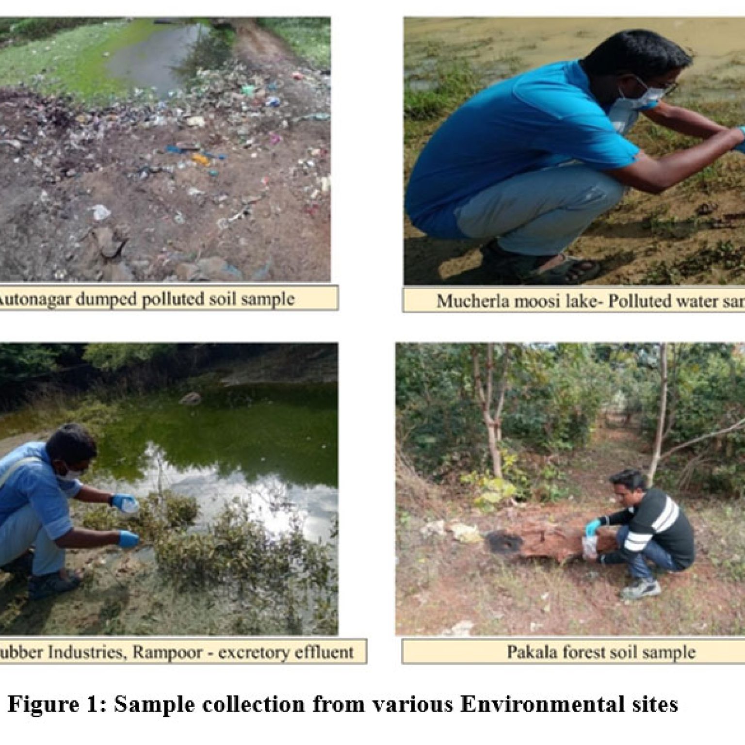 Isolation, Screening, Identification, and Assessment of Laccase ...