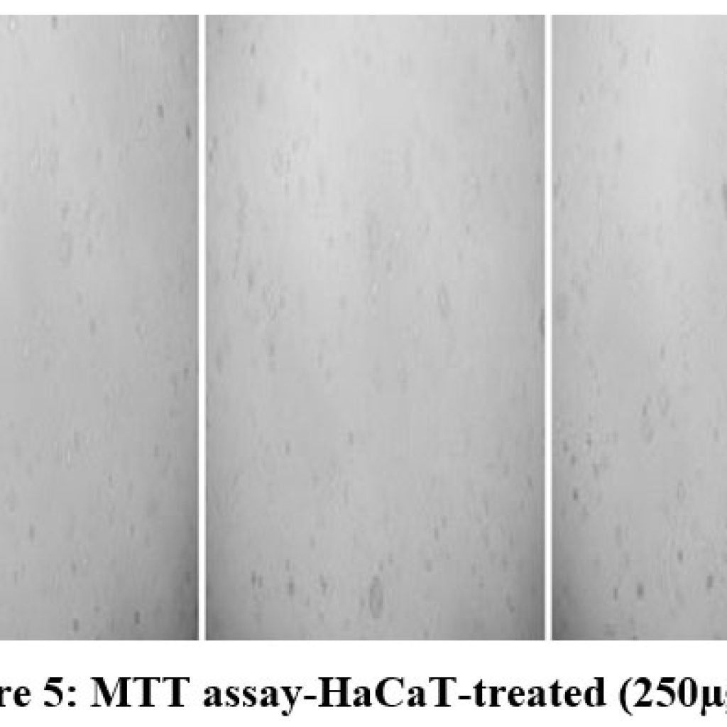 Hacat Antioxidant and Anticancer Activity Assessment of N. Oleander on the ...