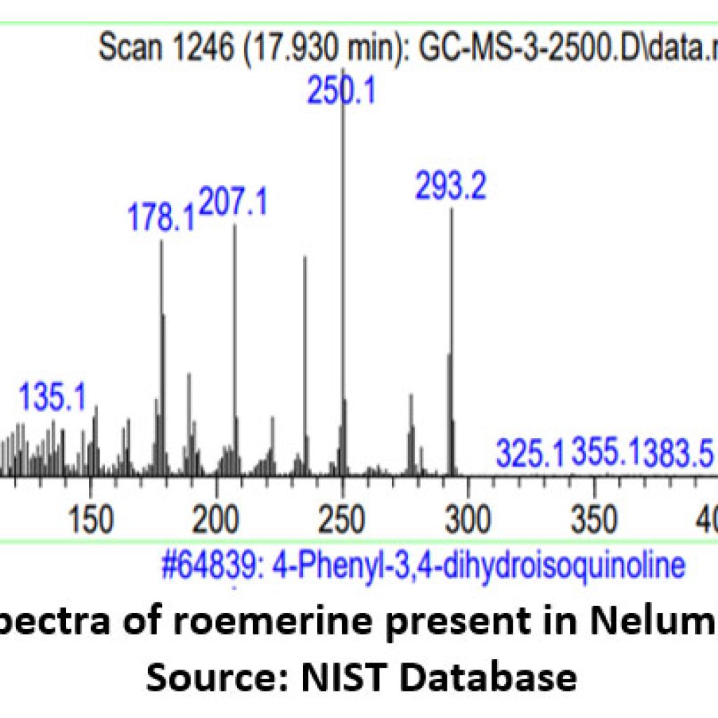 Identification of Bioactive Compounds by GC-MS of Nelumbo Nucifera Leaf ...