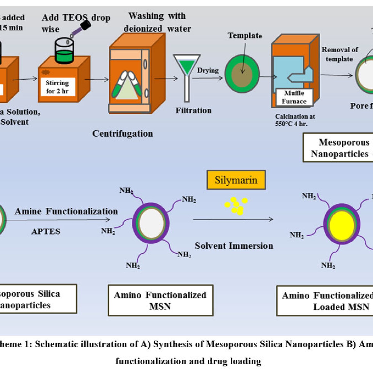 Optimization of Mesoporous Silica Nanoparticles of Silymarin through ...