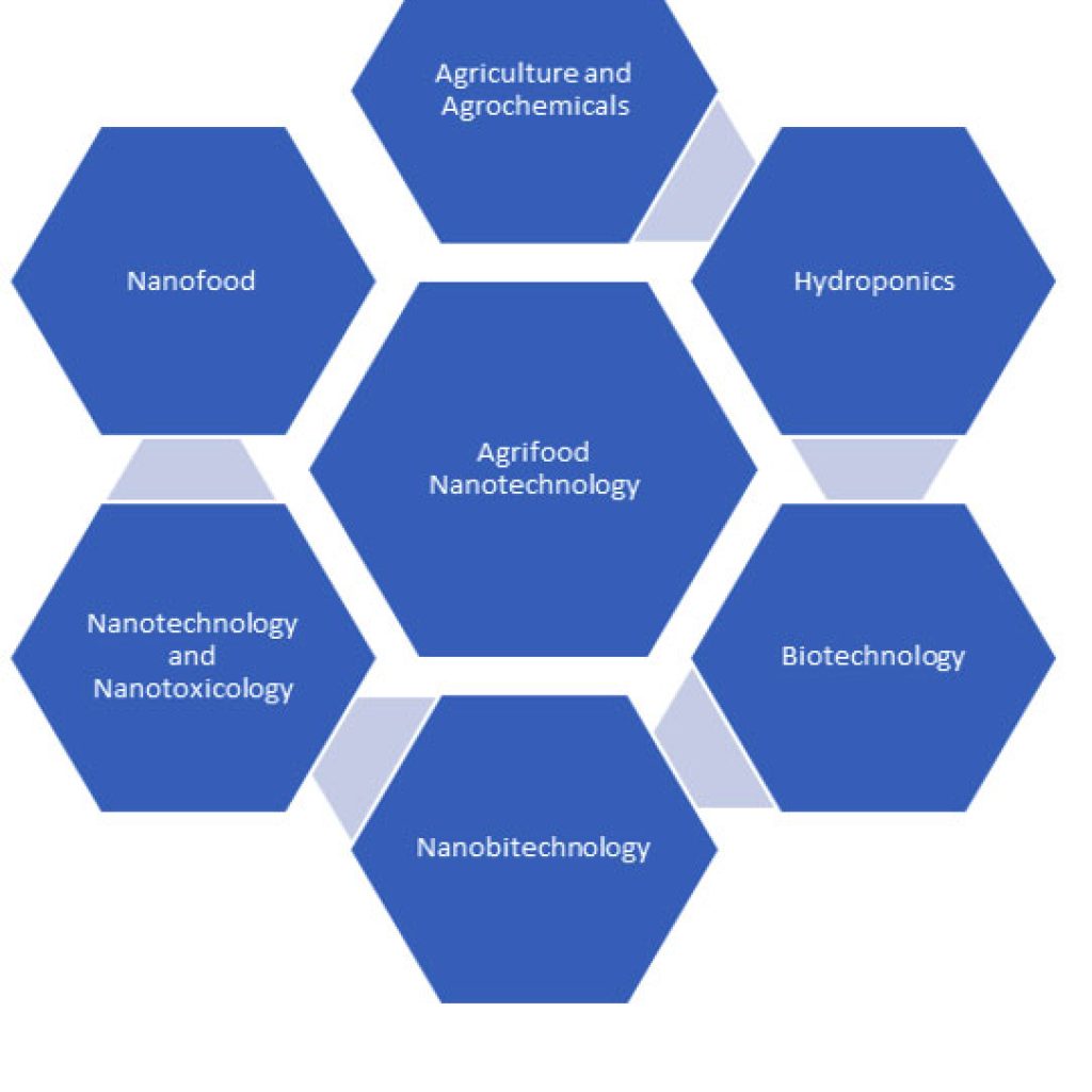 A Comprehensive Review and Insight into the Latest Advancements in ...