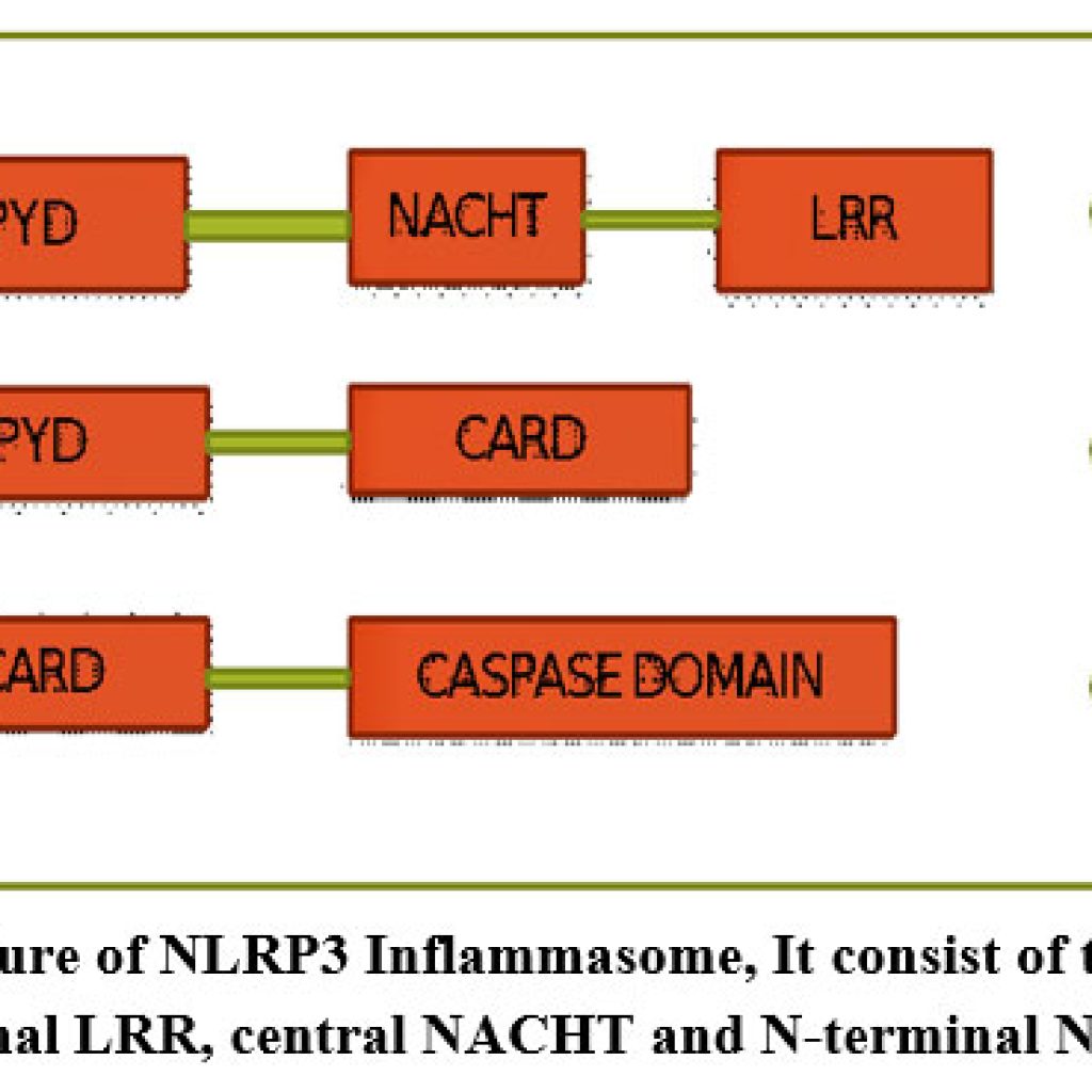 Prevalence Around Inflammatory Caspases in Urinary Tract Infections ...