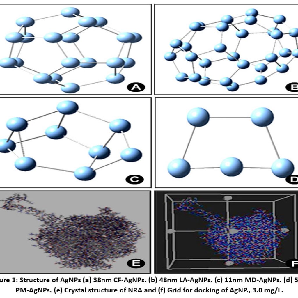 Multifunctional Silver Nanoparticles from Plant Extracts: Green ...