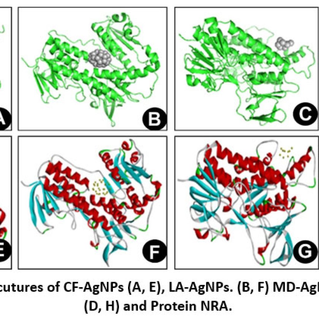Multifunctional Silver Nanoparticles from Plant Extracts: Green ...