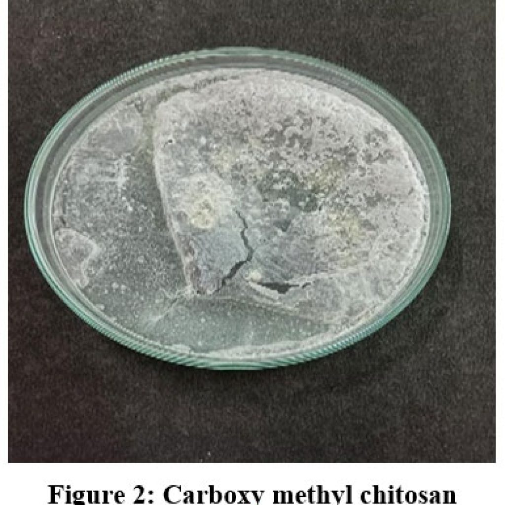 Carboxymethyl Chitosan with High Degree of Substitution: Synthesis ...