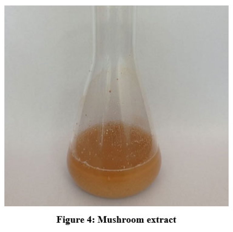 Photocatalytic and Antibacterial Activity of Iron Nanoparticles ...