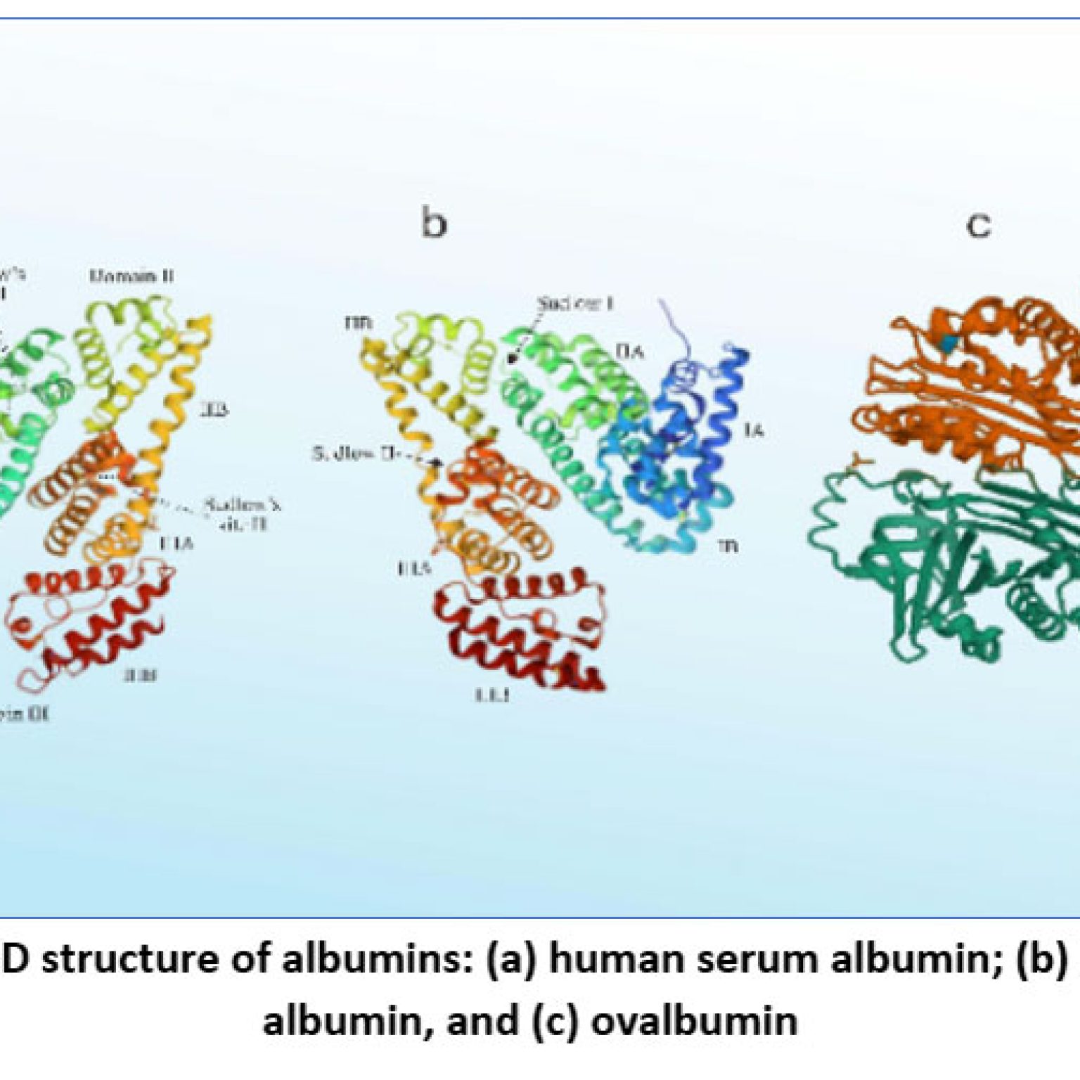 A Systematic Review on Bovine Serum Albumin Nanoparticle: Preparation ...